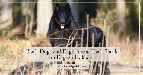Black Dogs And Englishmen Black Shuck In English Folklore Black Dog