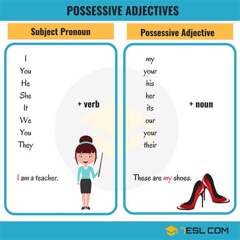 Possessive Adjectives Singular