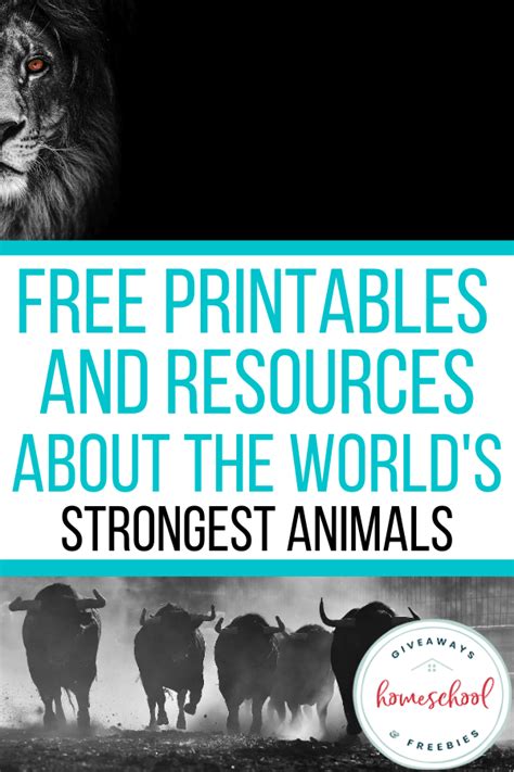 Free Printables And Resources About The Worlds Strongest