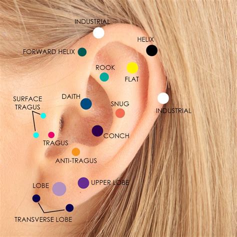 Which Cartilage Piercing Should I Get Freshtrends Blog Ear