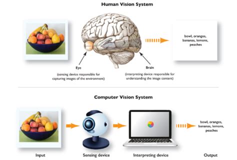 A Deeper Look Into Computer Vision Cybiant