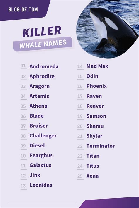 389 Killer Whale Names Good Cute Famous Naming Ideas Artofit