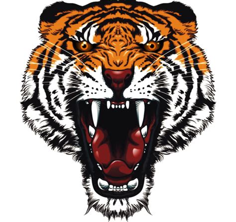 Tiger Tattoos Png Pic Png Mart