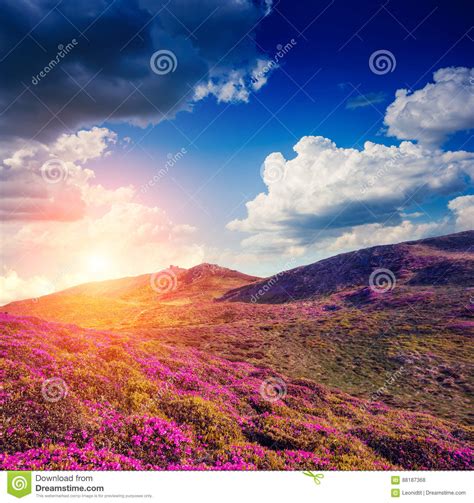 Magical Mountains Landscape Stock Photo Image Of Mountain Ecology