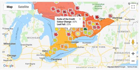 Did You Know You Can Track Fall Colour Foliage Reports With This
