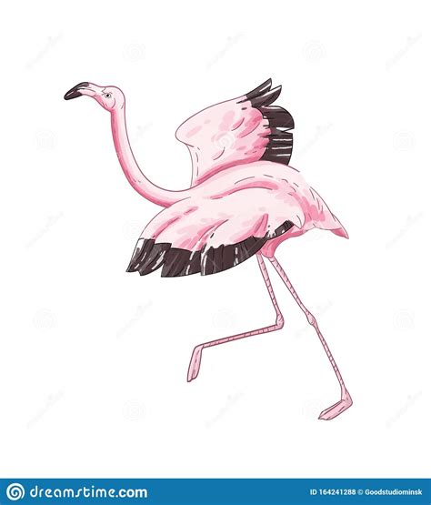 Flamingo Preparing To Fly Hand Drawn Vector Illustration Beautiful