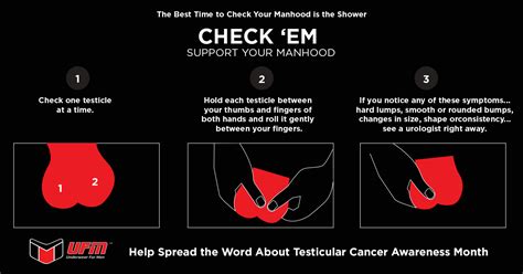The most common place for testicular cancer to spread to is nearby lymph nodes in your tummy (abdomen) or lungs. Blog - Identify The Hidden Symptoms Of Testicular Cancer ...