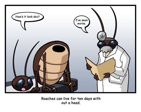 Insect Comic 1 By Rongs1234 Insect Cartoons Pinterest Insects