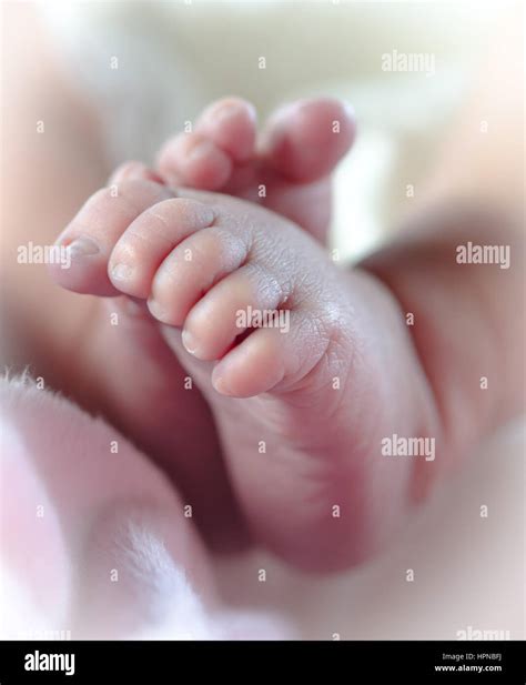 Cute Baby Feet Stock Photos And Cute Baby Feet Stock Images Alamy