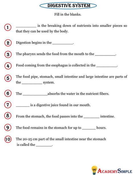 Human Organs Digestive System Organs Worksheet 3 Academy Simple