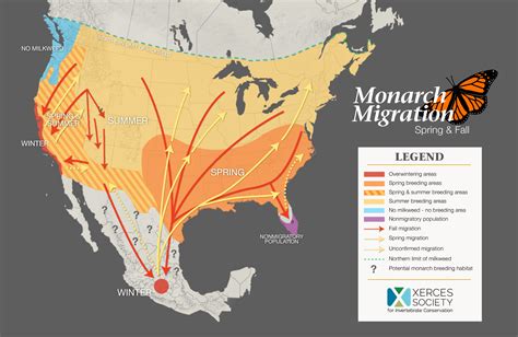New Jerseys Key Role In The Monarch Migration Conserve Wildlife