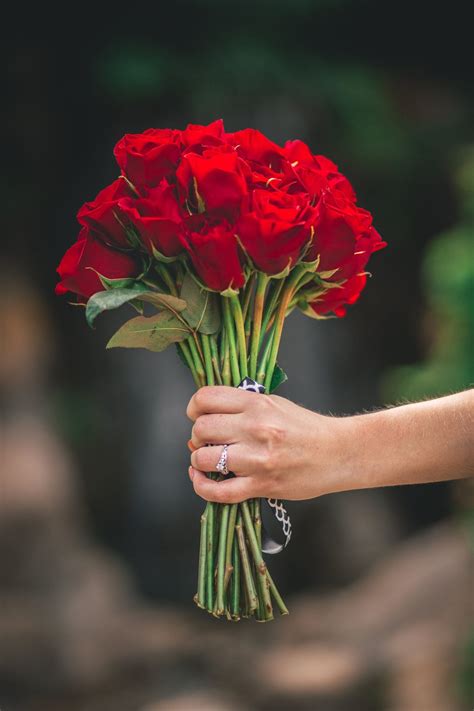 De Bons Conseils Pour Choisir Un Joli Bouquet De Roses Pour La Saint