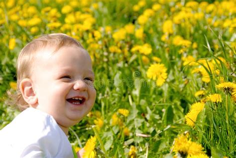 Funny Laughing Toddler Portrait Stock Photo Image Of Smile Caucasian
