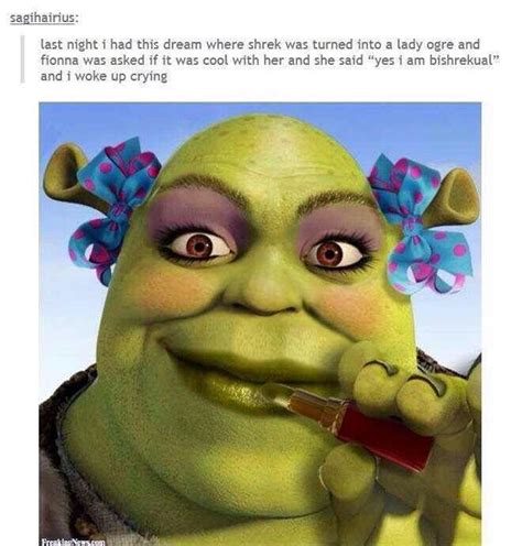 See You In A While Shrek Memes Shrek Funny
