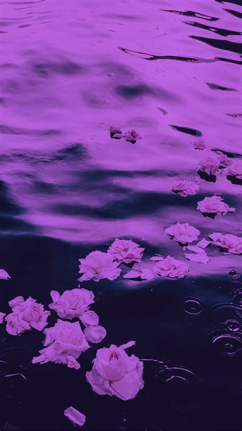 Flower Background Iphone Flower Backgrounds Purple Haze Dark Purple Purple Aesthetic
