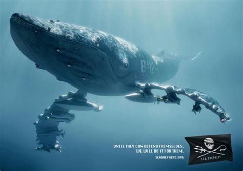 Creative Sea Shepherd Ad Campaign
