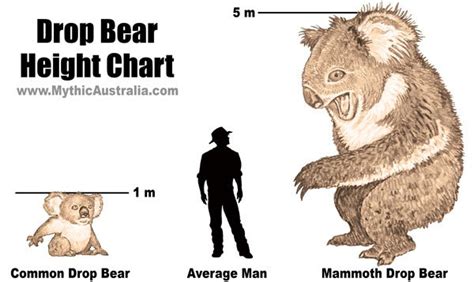 What Is A Drop Bear Mythic Australia