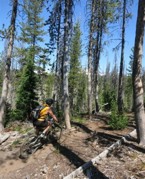 Guided Mountain Biking Tours In Bend Or 57hours