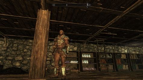 Wis Skimpy Male Armors Conversions For Sos Skyrim Adult Mods