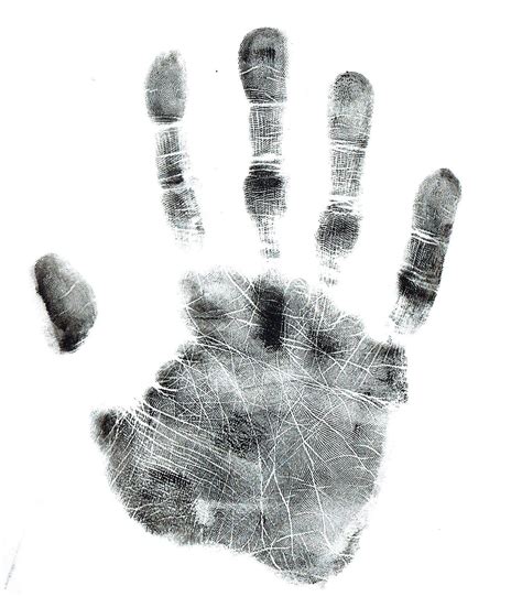 SIMIAN LINE EXPLAINED - Lawrence Rook