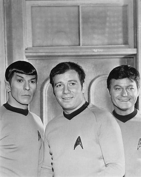 Mr Spock Capt Kirk And Dr Mccoy Viaje A Las Estrellas Star Trek