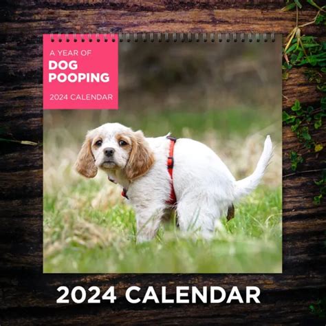 Dogs Pooping Calendar 2024 Dog Wall Calendar 2024 Funny Calendar 2024