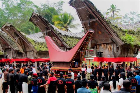 Mengenal Upacara Rambu Solo Ritual Pemakaman Orang Toraja Ngetren