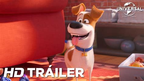 Mascotas 2 Tráiler 1 Universal Pictures Hd Youtube