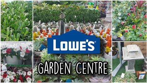 Lowes New Inventory 2022 Flowers Garden Centre Sale Garden Centre Tour