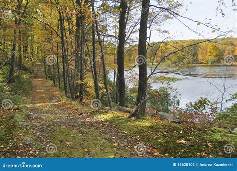 Autumn Lakeside Path Stock Photo Image Of Lake Trail 16620102