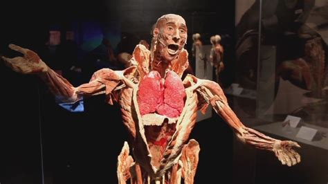 Science specimen of base of rotating human brain electrically charged. 'Body Worlds' exhibit offers unique glance inside human ...