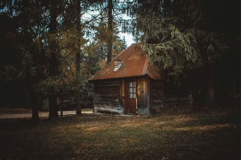 Wooden House On A Forest · Free Stock Photo