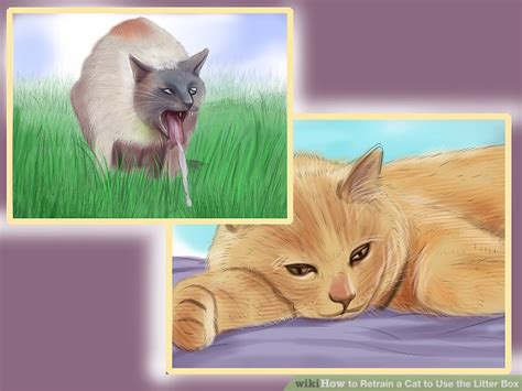 Cats aren't trained to use a litter box; 3 Ways to Retrain a Cat to Use the Litter Box - wikiHow
