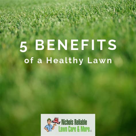5 Benefits Of A Healthy Lawn For You And The Environment