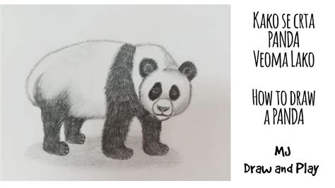 Kako Nacrtati Medu Pandu Veoma Lak Način How To Draw A Panda Youtube