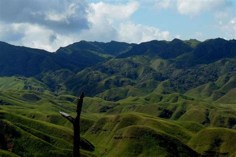 Dzukou Valley Nagaland Get The Detail Of Dzukou Valley On Times Of