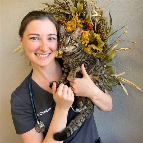 Tori Chambers Associate Veterinarian Healthy Paws Animal Hospital