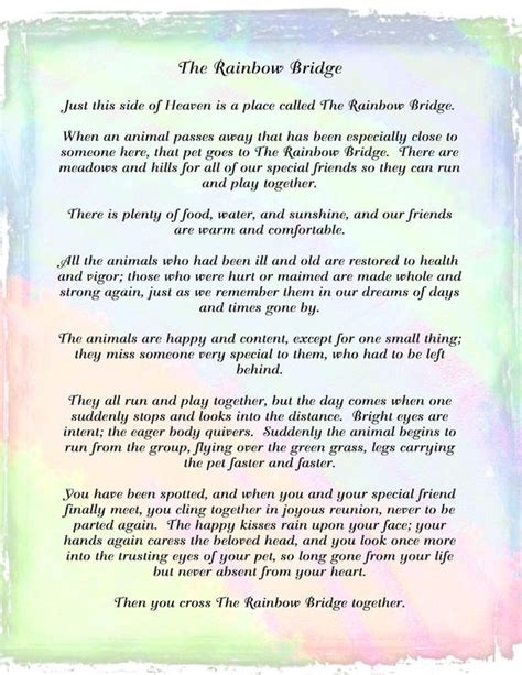 Beyond the rainbow bridge is a song dedicated to our beloved pets who pass on to the next life, especially those we need to put. Rainbow Bridge Poem Digital Download Pet Loss Pet Sympathy ...