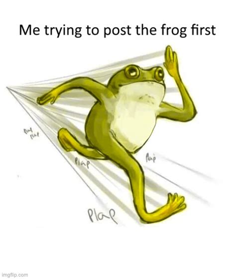 Image Tagged In Frogsmemesfunny Imgflip
