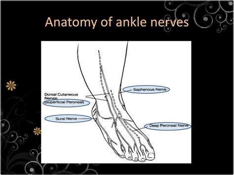 Ppt Ankle Block Powerpoint Presentation Free Download Id2075464