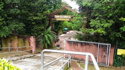 Plan your trip to kuala lumpur forest eco park. KL Forest Eco Park (Kuala Lumpur, Malaysia): Top Tips ...