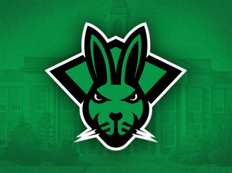 Omaha Benson Mighty Bunnies By Connor Brandt On Dribbble