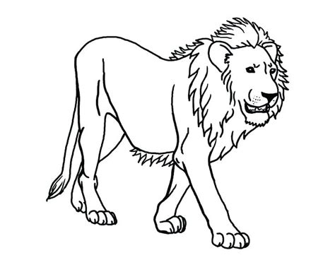 Find numerous coloring pages that shows both lion cubs and adults in realistic and cartoonish images. Lion Cub Coloring Pages at GetColorings.com | Free ...