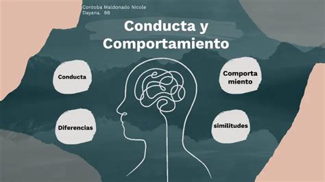 Psicología De La Conducta Y Comportamiento Tipos Y Factores Colegio