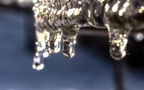 Free Images Water Nature Branch Cold Drop Dew Light Frost Ice