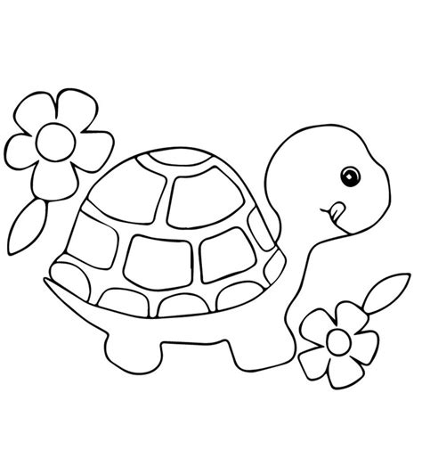 More free printable animal coloring pages and sheets can be found in the animal color page gallery. Top 20 Free Printable Turtle Coloring Pages Online