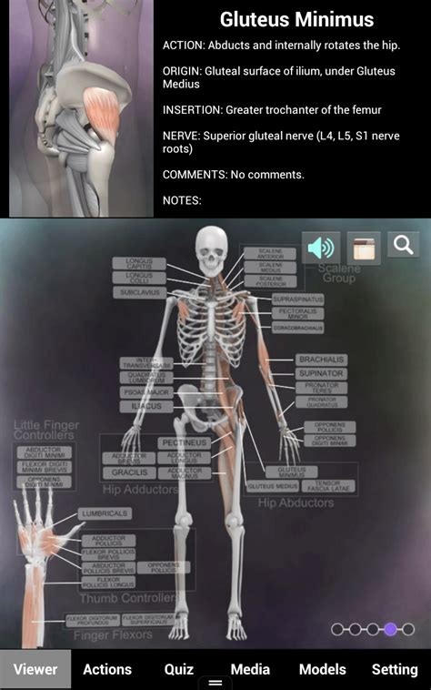 Muscle And Bone Anatomy 3d V122 Apk Obb Full Paid Download