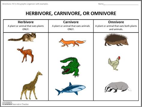 Carnivores Clipart 20 Free Cliparts Download Images On Clipground 2022