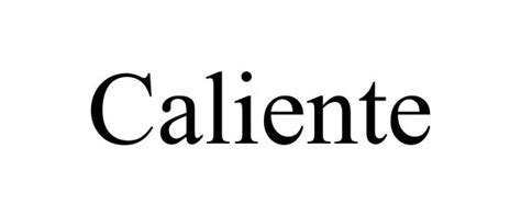 Caliente Fiorella Shapewear Trademark Registration