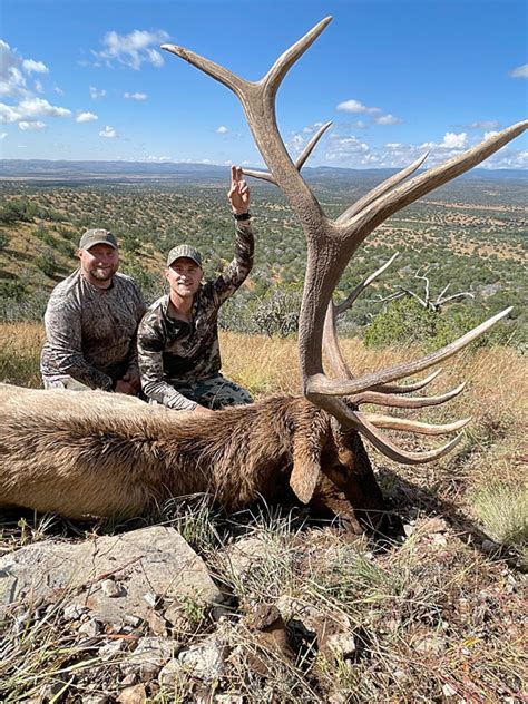 Elk New Mexico Outfitters Compass West Outfitters Compass West Outfitters